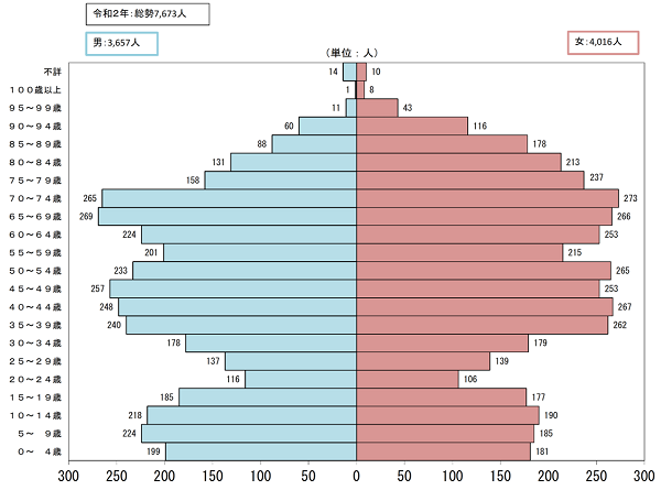 人口ピラミッド.png